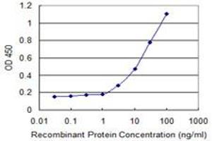 Detection limit for recombinant GST tagged AKT1 is 1 ng/ml as a capture antibody. (AKT1 anticorps  (AA 1-480))