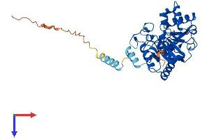 AlphaFold protein structure predicition of Human Recombinant ST8SIA1 Protein, UniprotID Q92185