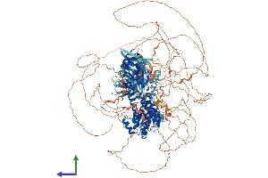 AlphaFold protein structure predicition of Human Recombinant RAPGEF2 Protein, UniprotID Q9Y4G8