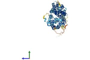 AlphaFold protein structure predicition of Mouse Recombinant Slc2a8 Protein, UniprotID Q9JIF3