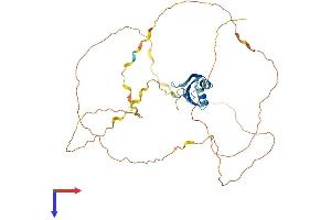 AlphaFold protein structure predicition of Human Recombinant RBMX Protein, UniprotID P38159