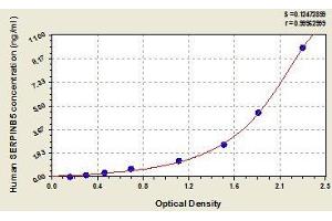 Typical standard curve (SERPINB5 Kit ELISA)