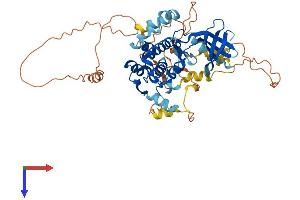 AlphaFold protein structure predicition of Human Recombinant NEK3 Protein, UniprotID P51956