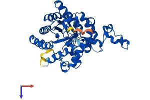 AlphaFold protein structure predicition of Mouse Recombinant Bhmt2 Protein, UniprotID Q91WS4