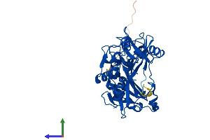AlphaFold protein structure predicition of Human Recombinant BCAT1 Protein, UniprotID P54687
