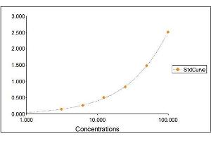 Standard Curve Graph (Lactoferrin Kit ELISA)