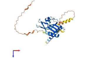 AlphaFold protein structure predicition of Mouse Recombinant Rtp1 Protein, UniprotID Q8C8C1