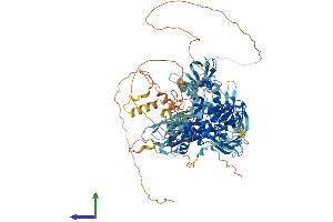 AlphaFold protein structure predicition of Mouse Recombinant Sh3bp4 Protein, UniprotID Q921I6