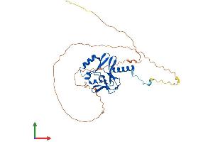 AlphaFold protein structure predicition of Mouse Recombinant Kmt5a Protein, UniprotID Q2YDW7