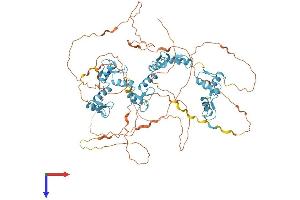 AlphaFold protein structure predicition of Mouse Recombinant Ctcf Protein, UniprotID Q61164
