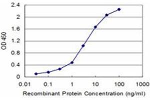 Detection limit for recombinant GST tagged FXN is approximately 0. (Frataxin anticorps  (AA 91-200))