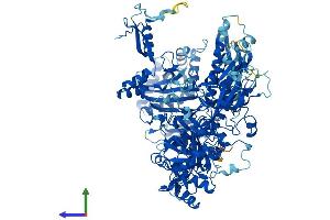 AlphaFold protein structure predicition of Human Recombinant POLR1B Protein, UniprotID Q9H9Y6
