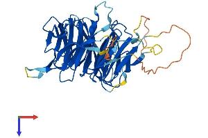AlphaFold protein structure predicition of Human Recombinant NUP43 Protein, UniprotID Q8NFH3