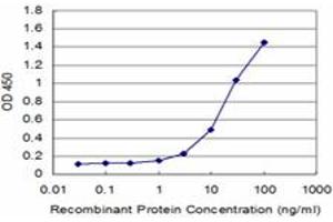 anti-Synuclein, beta (SNCB) (AA 1-65) antibody