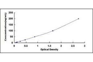 Typical standard curve (Lactate Dehydrogenase C Kit ELISA)