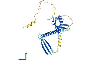AlphaFold protein structure predicition of Mouse Recombinant Cidec Protein, UniprotID P56198