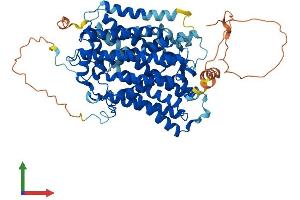 AlphaFold protein structure predicition of Human Recombinant SLC5A5 Protein, UniprotID Q92911