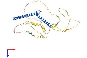 AlphaFold protein structure predicition of Mouse Recombinant Mycl Protein, UniprotID P10166