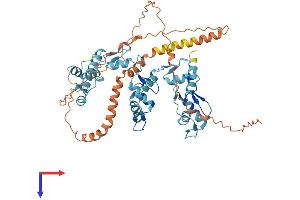 AlphaFold protein structure predicition of Human Recombinant ZFP69 Protein, UniprotID Q49AA0