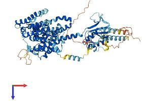 AlphaFold protein structure predicition of Mouse Recombinant Slc26a2 Protein, UniprotID Q62273