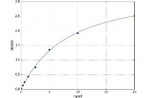 A typical standard curve (CKB Kit ELISA)