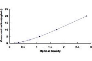 Typical standard curve (Septin 3 Kit ELISA)