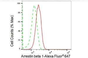 Flow cytometric analysis of Arrestin beta 1 expression in HepG2 cells using Arrestin beta 1 antibody (ABIN7797653), 1:2,000).