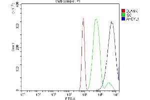 Flow Cytometry analysis of RH35 cells using anti-IRBIT/AHCYL1 antibody (ABIN7600030). (AHCYL1 anticorps  (AA 14-57))