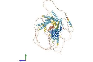 AlphaFold protein structure predicition of Human Recombinant WWC1 Protein, UniprotID Q8IX03