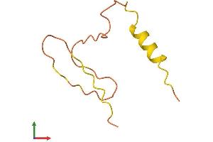 AlphaFold protein structure predicition of Human Recombinant SNURF Protein, UniprotID Q9Y675