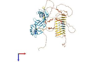 AlphaFold protein structure predicition of Human Recombinant DAZ1 Protein, UniprotID Q9NQZ3