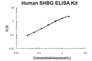 Human SHBG PicoKine ELISA Kit standard curve