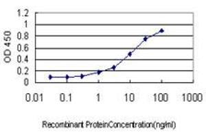 Detection limit for recombinant GST tagged RHOT1 is approximately 0.