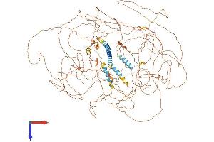 AlphaFold protein structure predicition of Mouse Recombinant Mn1 Protein, UniprotID D3YWE6