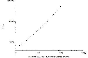 Typical standard curve (Actin, gamma 1 Kit CLIA)