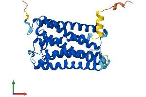 AlphaFold protein structure predicition of Human Recombinant RGR Protein, UniprotID P47804