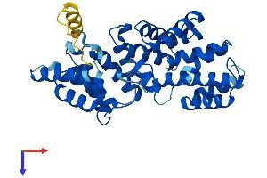 AlphaFold protein structure predicition of Human Recombinant LRP2BP Protein, UniprotID Q9P2M1