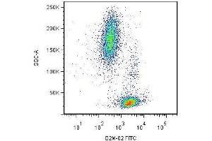 Surface staining of human peripheral blood cells by mouse monoclonal anti-beta2-microglobulin antibody B2M-02 .