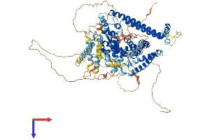 AlphaFold protein structure predicition of Human Recombinant ATG9B Protein, UniprotID Q674R7