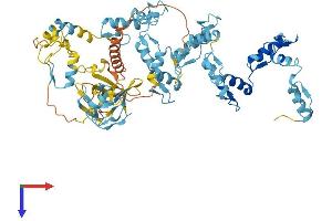 AlphaFold protein structure predicition of Human Recombinant PRDM5 Protein, UniprotID Q9NQX1