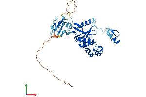 AlphaFold protein structure predicition of Mouse Recombinant Yod1 Protein, UniprotID Q8CB27