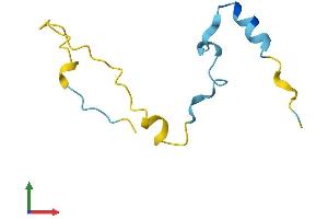 AlphaFold protein structure predicition of Mouse Recombinant Camk2n2 Protein, UniprotID Q78WH7
