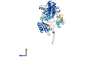 AlphaFold protein structure predicition of Mouse Recombinant Prkaa2 Protein, UniprotID Q8BRK8