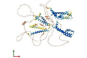 AlphaFold protein structure predicition of Mouse Recombinant Kcnq2 Protein, UniprotID Q9Z351