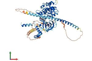 AlphaFold protein structure predicition of Human Recombinant DMPK Protein, UniprotID Q09013