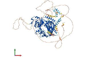 AlphaFold protein structure predicition of Mouse Recombinant Polk Protein, UniprotID Q9QUG2