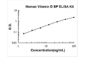 Gc ELISA Kit