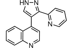 Chemical structure of LY364947 , a ALK5 kinase inhibitor.