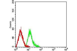 Flow cytometric analysis of HL-60 cells using TRIM29 mouse mAb (green) and negative control (red).