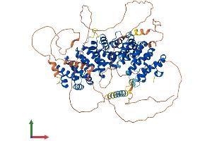 AlphaFold protein structure predicition of Mouse Recombinant Pkp3 Protein, UniprotID Q9QY23